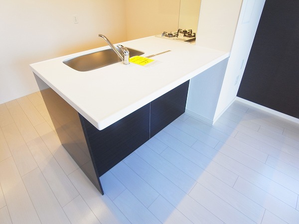 Ｖａｉｎｑｕｅｕｒ その他9