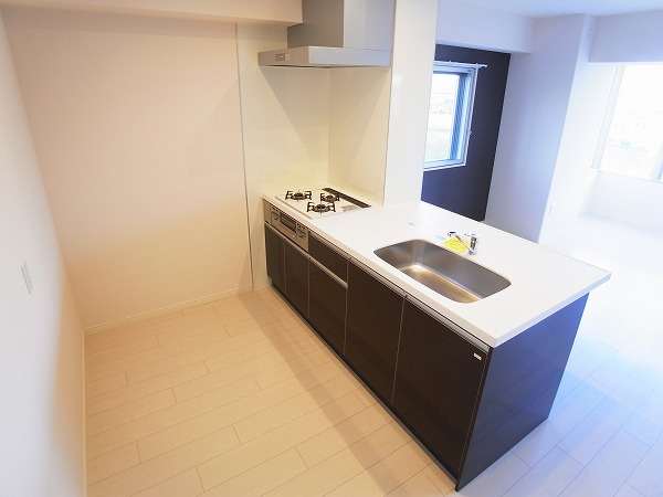 Ｖａｉｎｑｕｅｕｒ キッチン