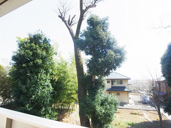 ワンリーフA その他7