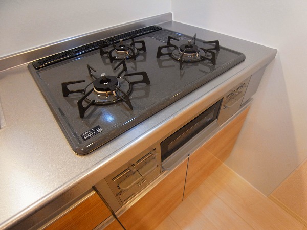 サイドガーデン南増尾　A棟 その他9