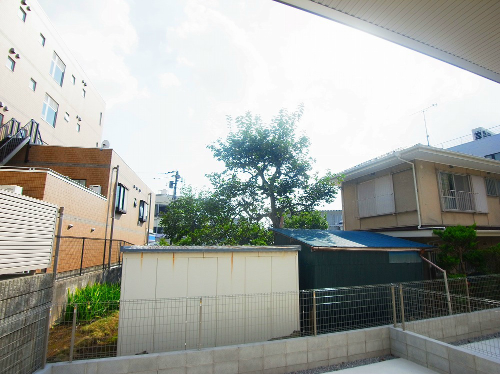 ホワイト・サラ その他5