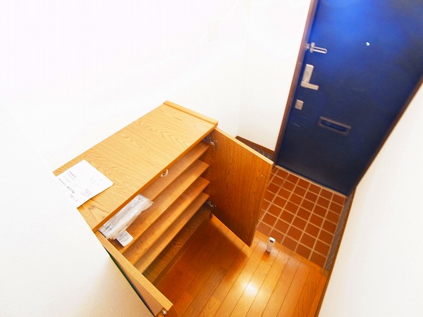 スカイビレッジ 玄関