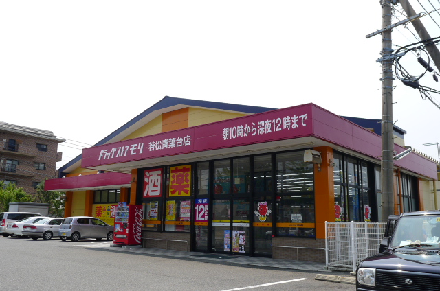 エクセル青葉台 ドラッグストア