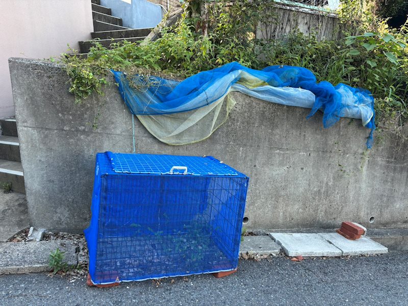 エミネンス穴生 その他