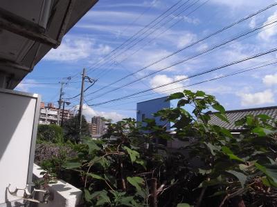 オリエンタル東新町 眺望