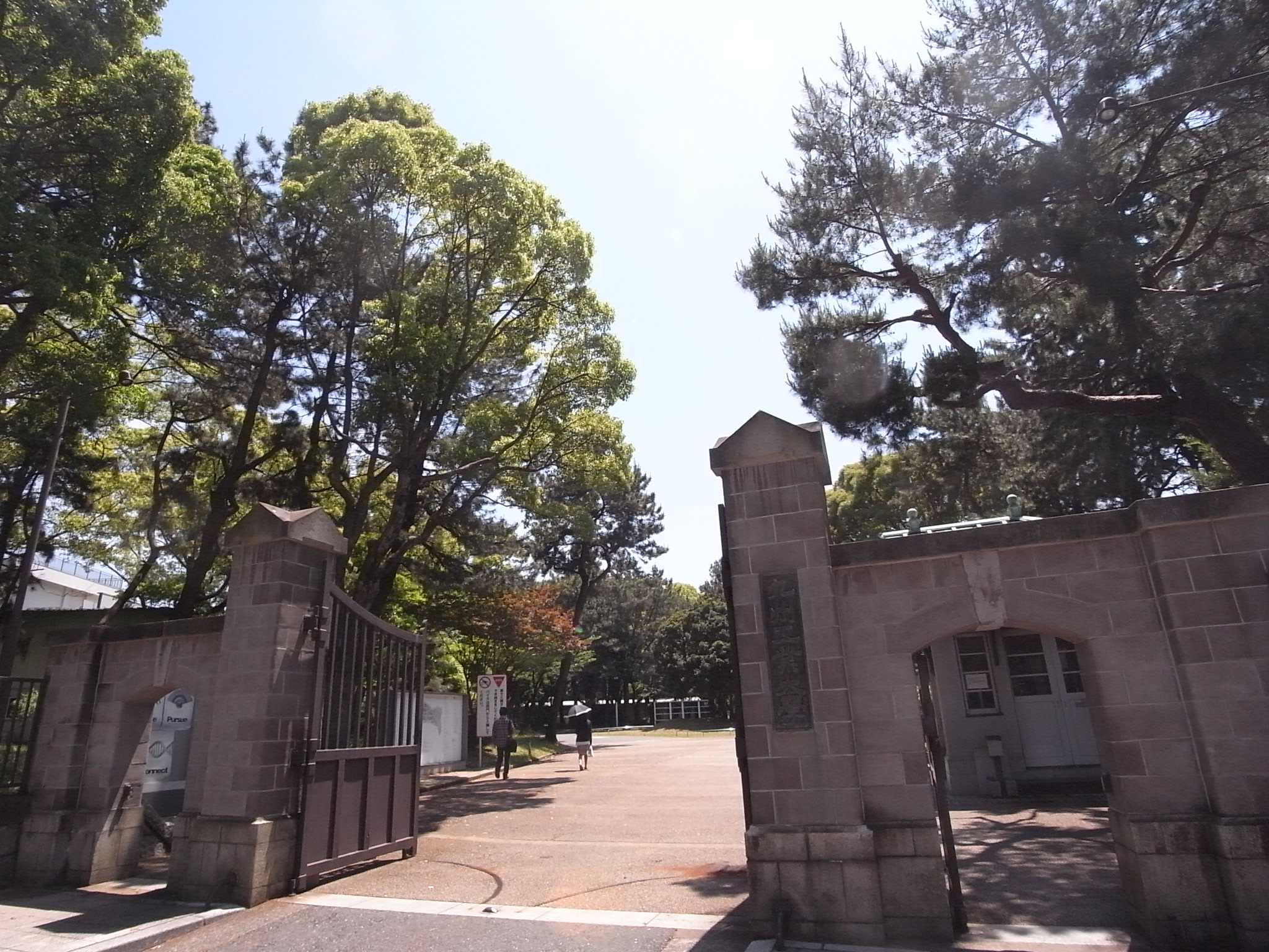 飛幡プライド 大学・短大
