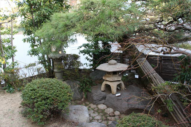 平町戸建 庭