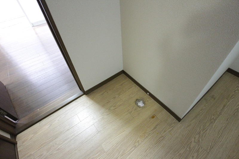 クレイドルヨコヤマⅡ その他
