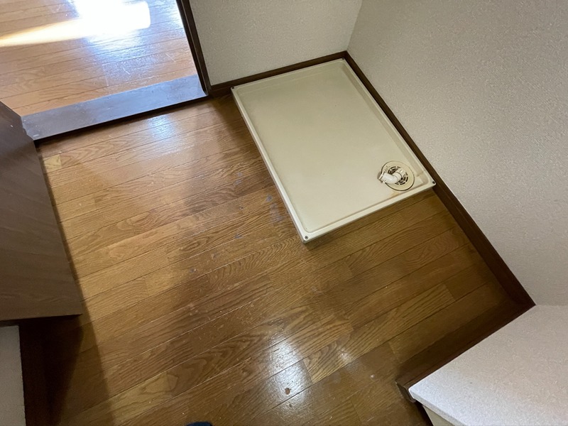 メイプル・グローヴ その他