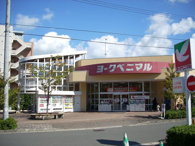 宮城県仙台市泉区松森鹿島50-117  スーパー