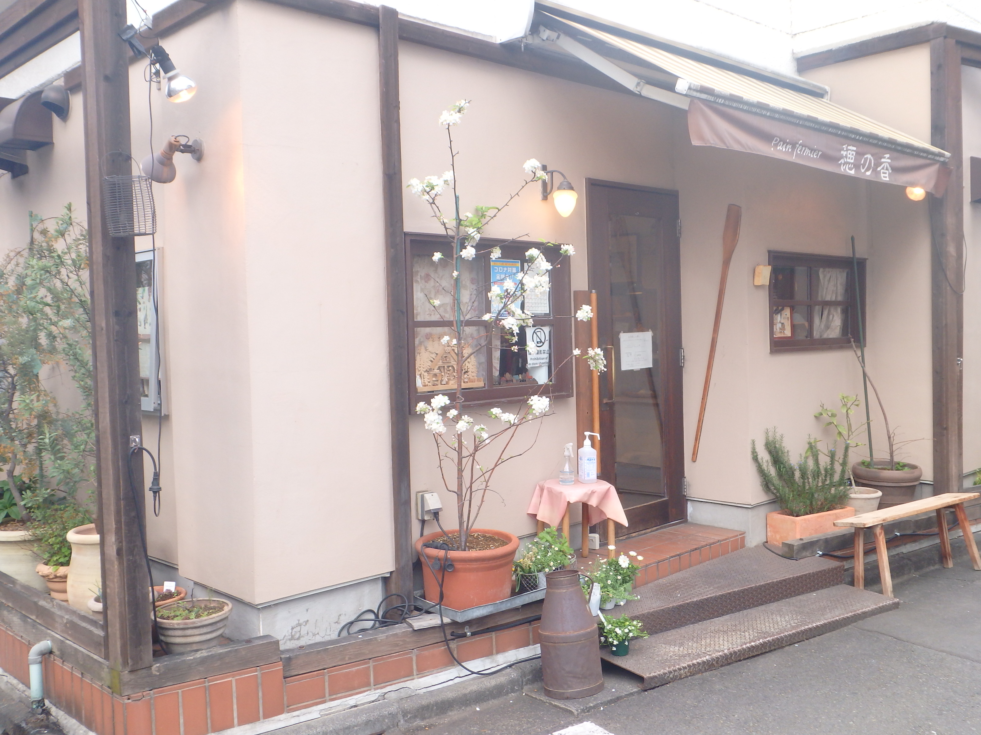 ステラ自由が丘 周辺画像8