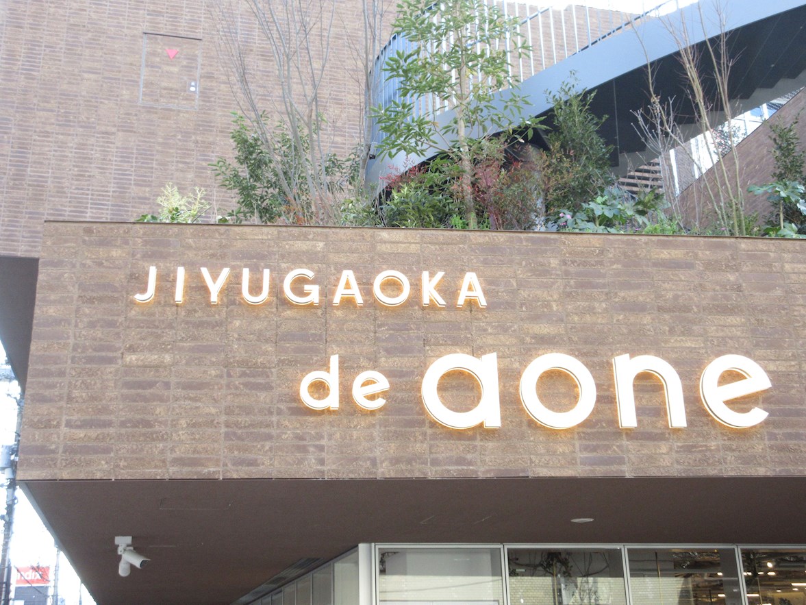 JIYUGAOKA de aone(自由が丘デュアオーネ) ドーマハイツ 周辺画像4