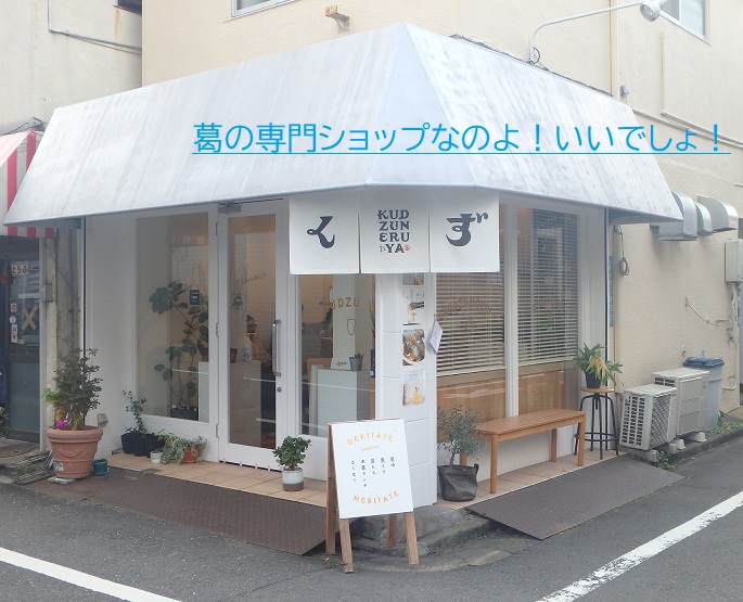 ブランシェ自由が丘 周辺画像6