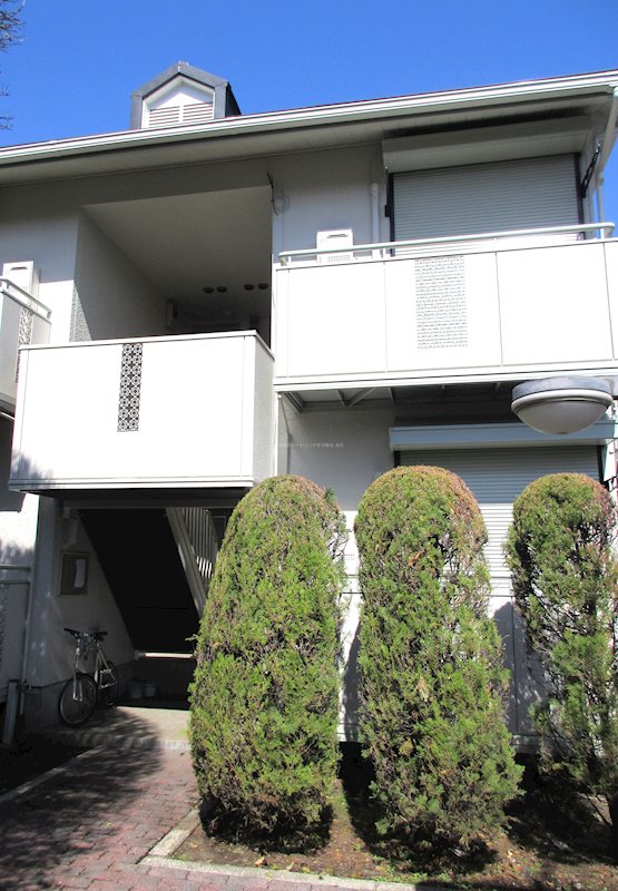 東南角部屋3方向窓あり ドミール91 玄関