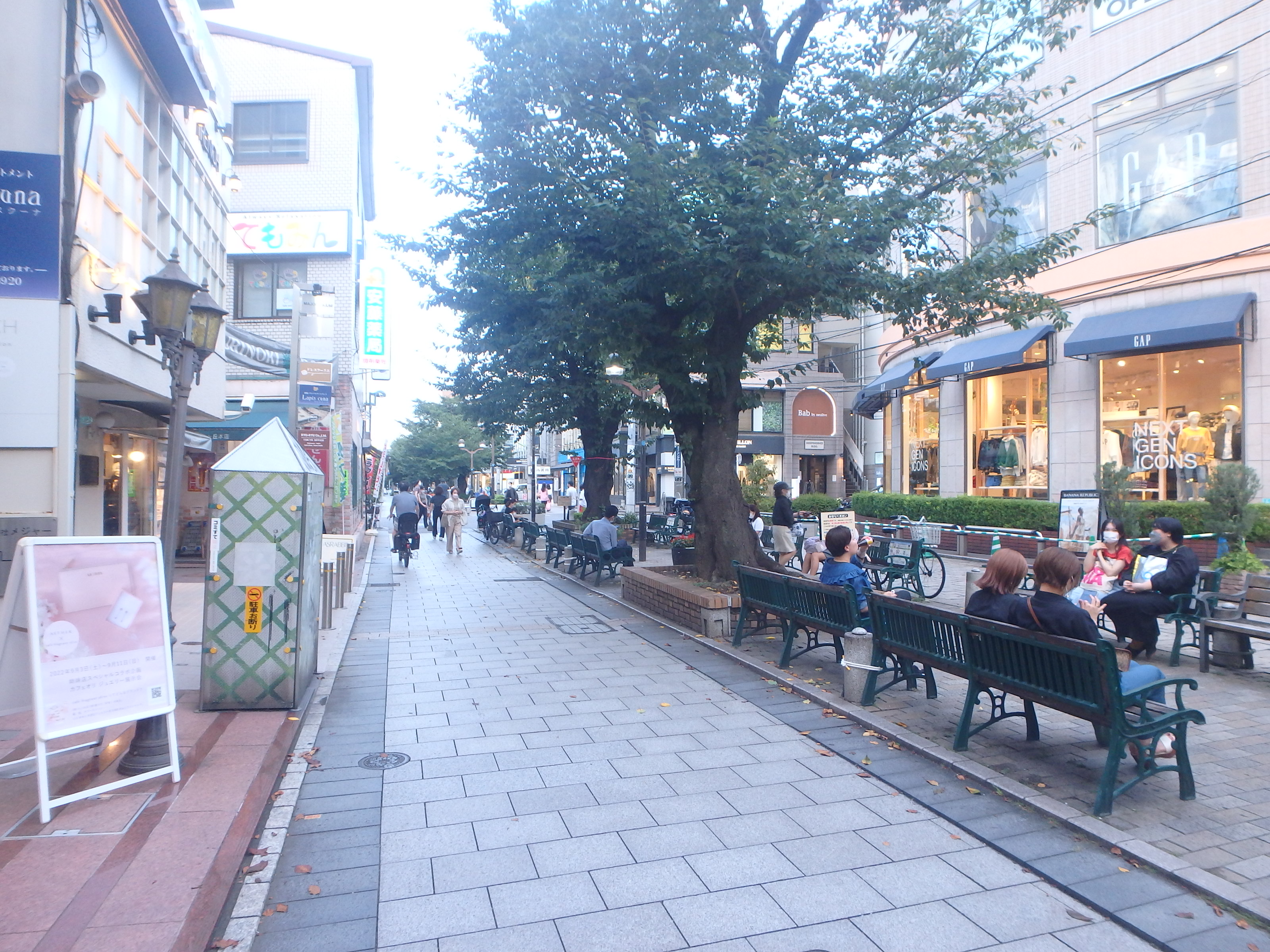 オクサワシュルメール    周辺画像7