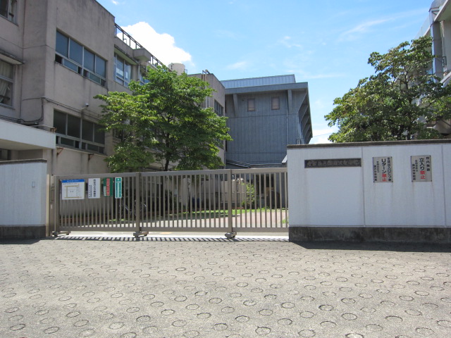 Claire Okusawa (クレール　オクサワ) 周辺画像6