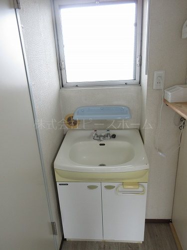 グリーン赤塚 洗面所