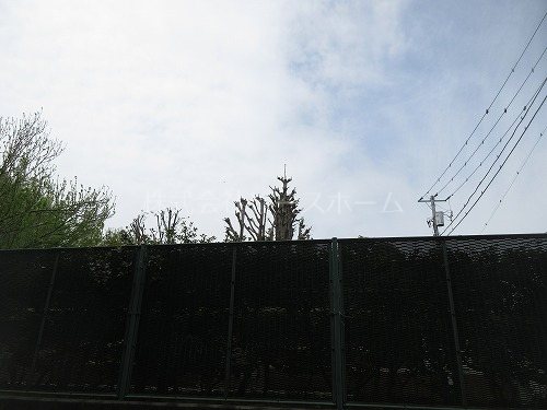 エトワール常盤台 眺望