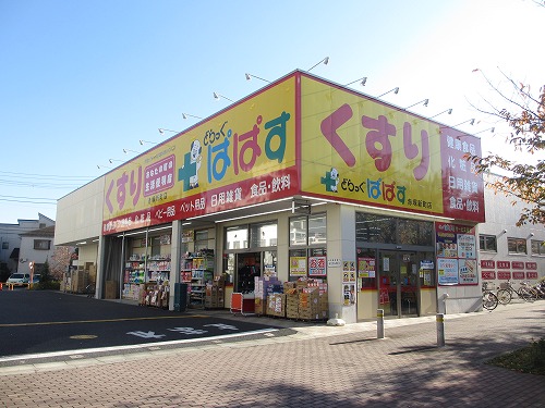 カーサ吉田 ドラッグストア