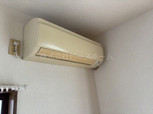 エターナル錦 その他