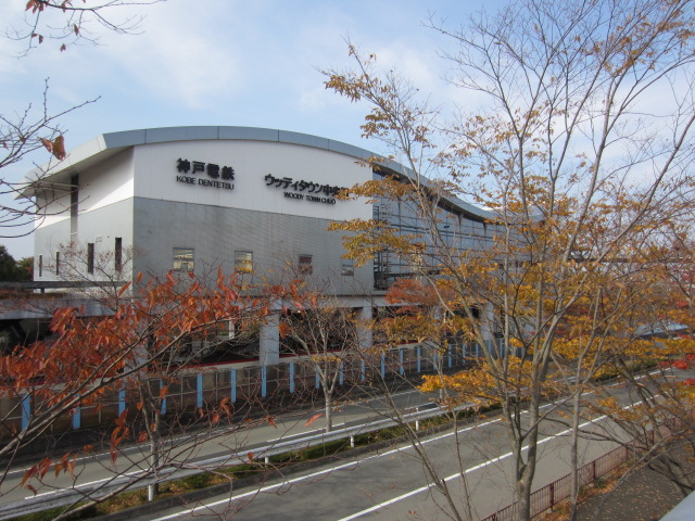 トレジャーハウスひまわり 駅