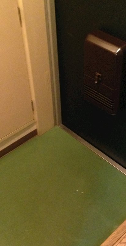 ヴェルドール芳花園  玄関