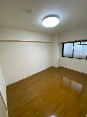 レグルス   その他6