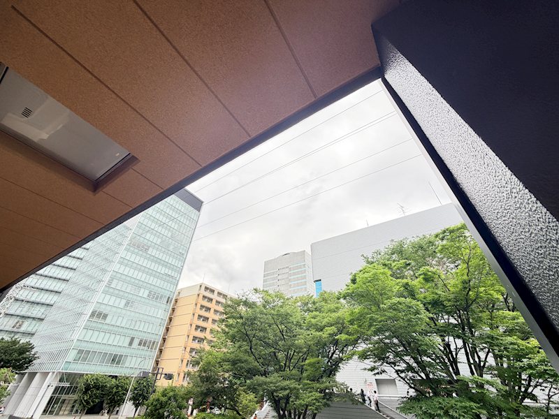 その他12