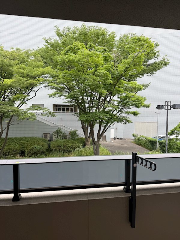その他13