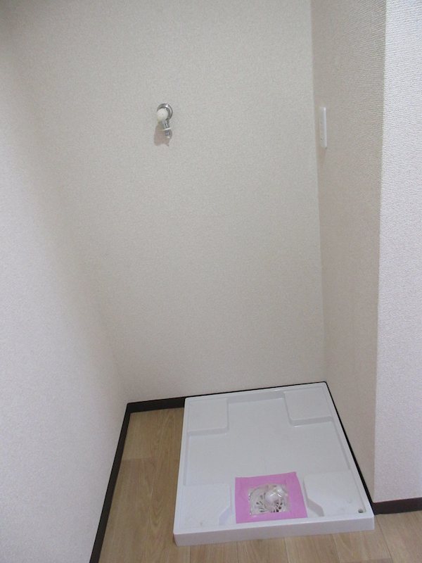 アクシスカシマ その他5