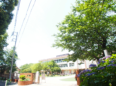ハイツ・アローウイング 小学校