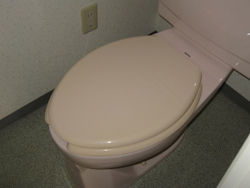 ハイリード・セイフウ その他1