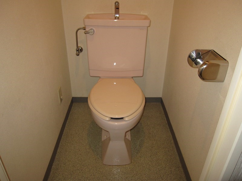 ハイリード・セイフウ その他5