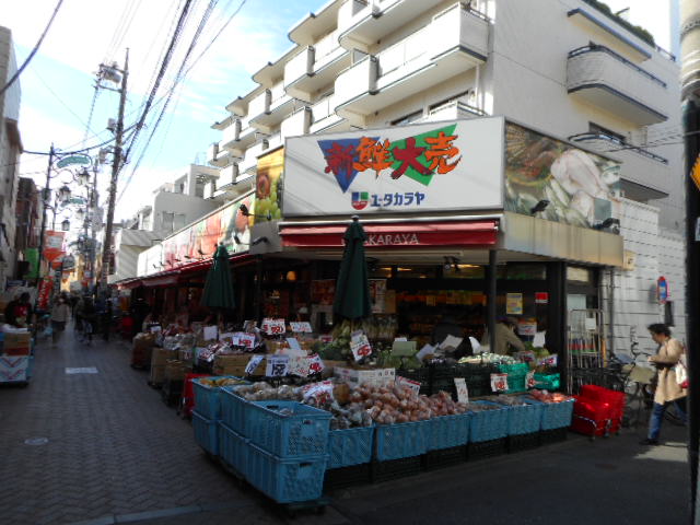 ロングヒルズ阿佐谷 周辺画像3