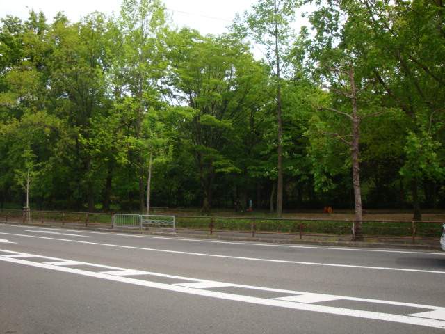 アネックス21 公園