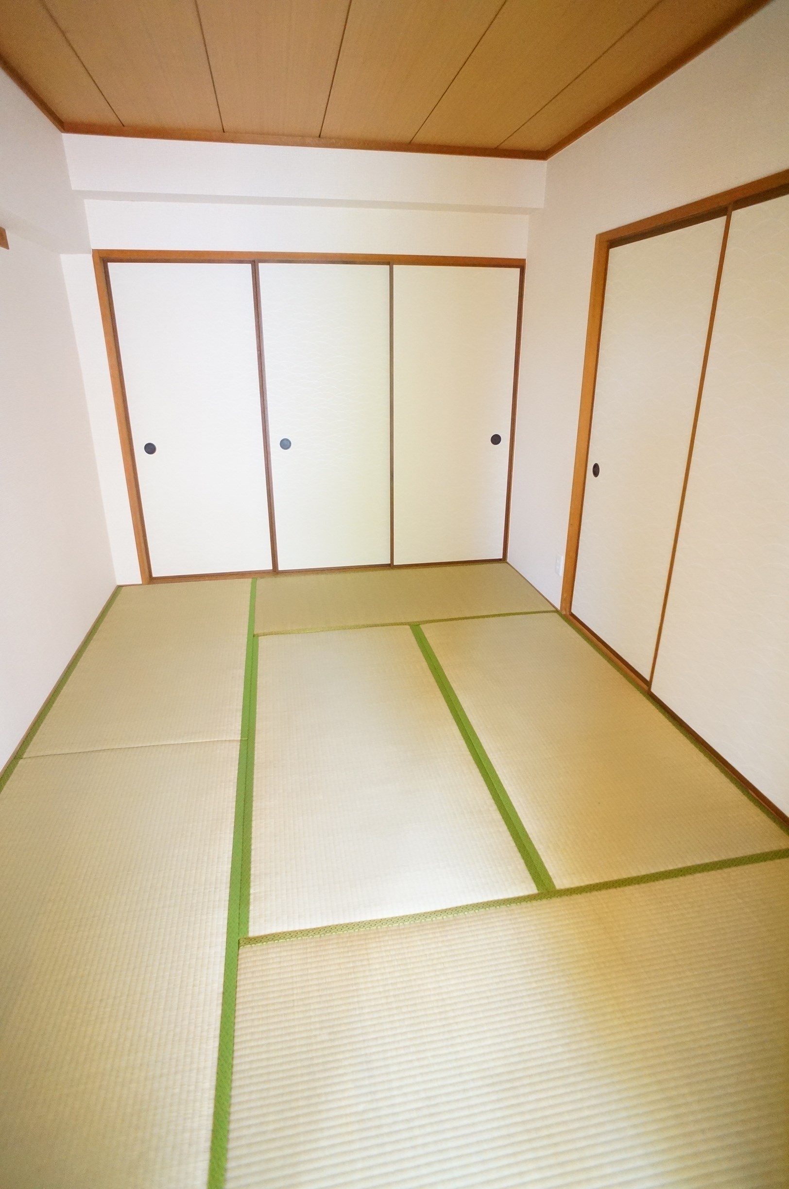 エルフィン井上 収納