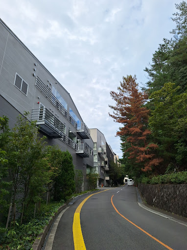 カレラ・デ・オエステ 大学・短大