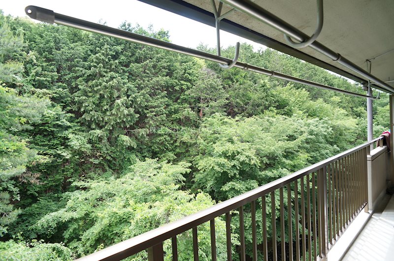 CASA　VERDE 眺望