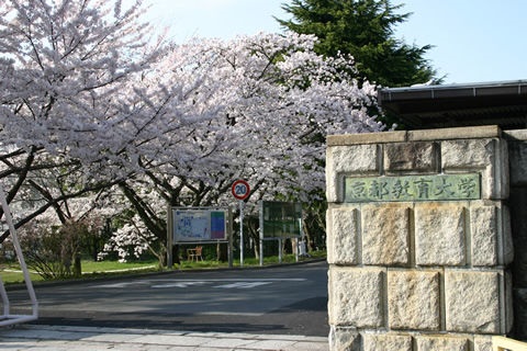 PLATINUM 大学・短大