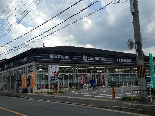 ドミトリーインテリジェンス ドラッグストア