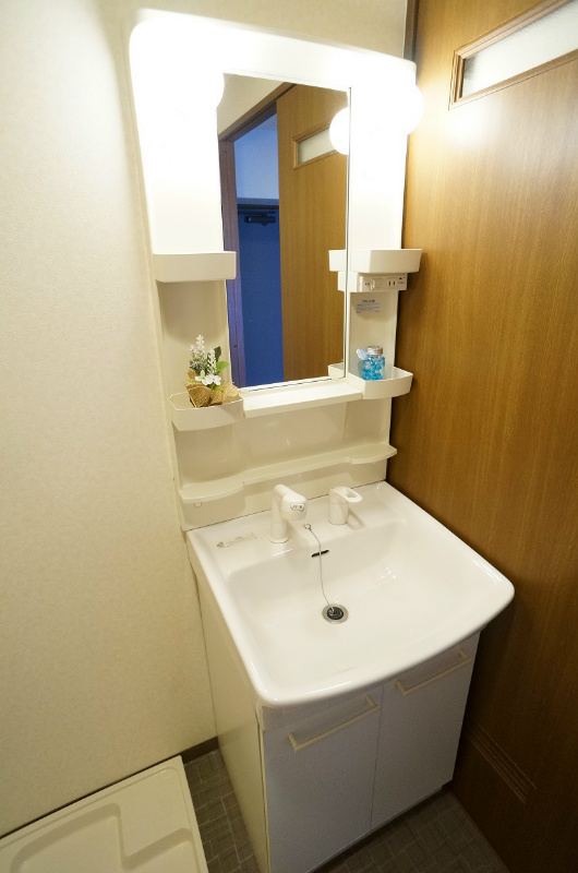 エリーフラッツ上桂 洗面所