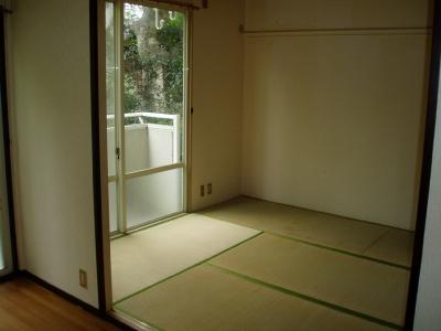 コーポセラヴィ D棟 その他部屋・スペース
