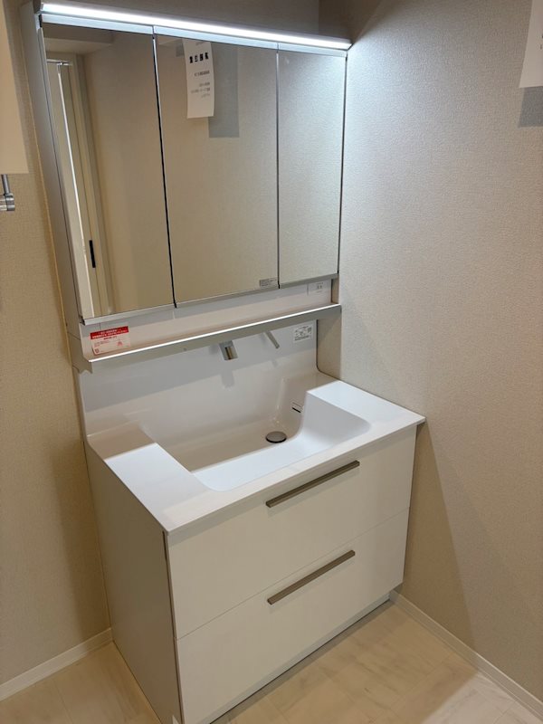 シャーメゾン京都桃山 洗面所