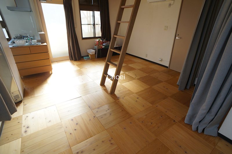 ヴィラ地球号 その他