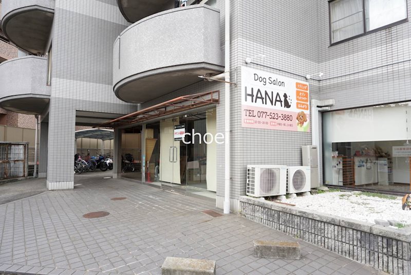 マンショングレース エントランス