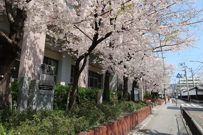 ブランズ京都河原町レジデンス 小学校