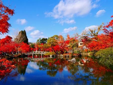永観堂前テナント その他