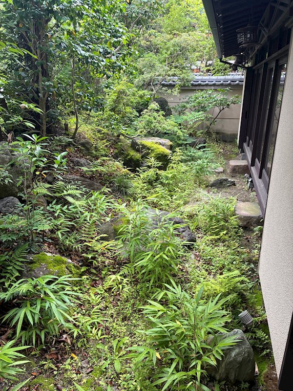 坂本5丁目貸家 庭