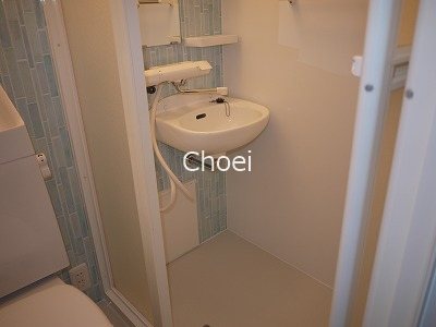 カーサ桃山 洗面所