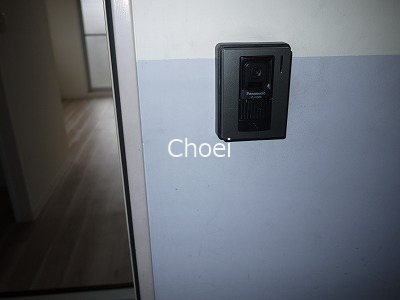 カーサ桃山 セキュリティ
